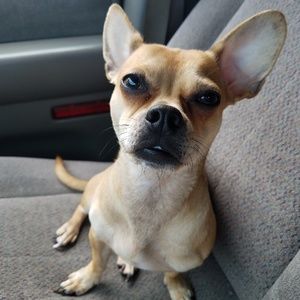 Meet your Posher, Jody